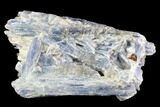 Vibrant Blue Kyanite Crystals in Quartz - Brazil #95618-1
